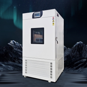 超低温冰箱 冰模型低温冻结专用箱 低温试验箱 650L大容量